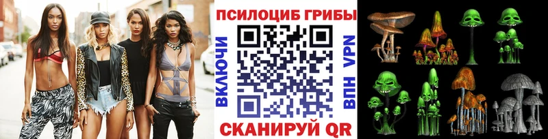 Галлюциногенные грибы Cubensis  хочу   Горно-Алтайск 